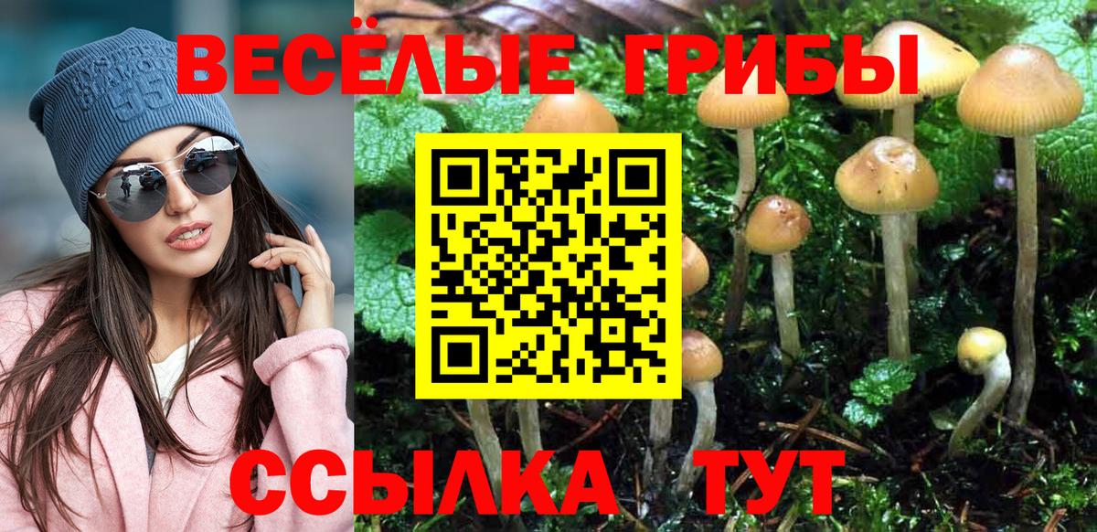 Галлюциногенные грибы GOLDEN TEACHER  Вход с VPN  Галлюциногенные грибы Cubensis  Кизилюрт 