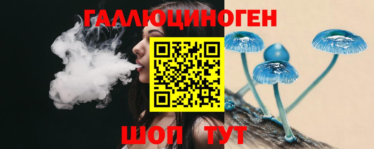 Галлюциногенные грибы GOLDEN TEACHER Кизилюрт
